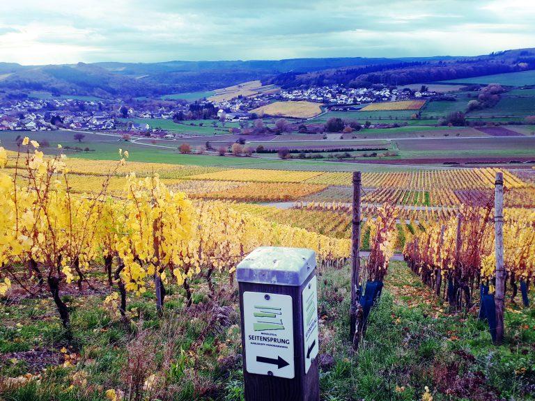 Weinberge im Herbst im Konzer tälchen